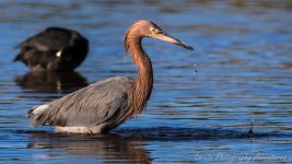 DSC_7512.jpg