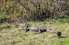 DSC04844-2.jpg