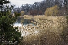 DSC_2447 low res.jpg