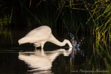 DSC_8094.jpg