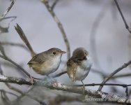 DSC_3776.jpg