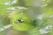 DSC_3890.jpg