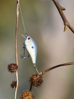 Lure2_2017_01_01.jpg