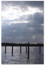 Screen Shot of NEF.jpg