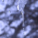 DSC_7260.jpg