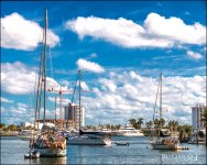 2-2-2017 LasOlas  (1 of 1)-2sm.jpg