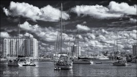 2-2-2017 LasOlas  (1 of 1)-4BWsm.jpg