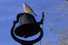 2-1-17-cr__D7K5658.jpg