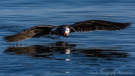 DSC_8962.jpg