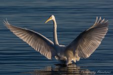 DSC_8790.jpg