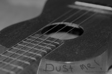 333652017_5605.jpg