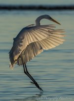DSC_8674.jpg