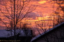 Sunrise 2-1-2017.jpg