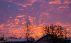 Sunrise #2 2-1-2017.jpg