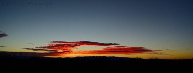 2-5-17-cr_DSC_4668.jpg