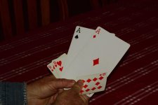 2-5-17-cr_DSC_4675.jpg