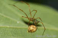 DSC_3947.jpg