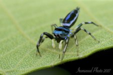 DSC_3989.jpg