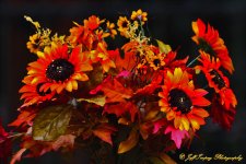 DSC_6366.jpg
