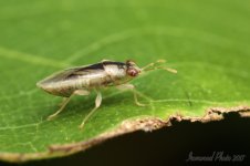DSC_4038.jpg