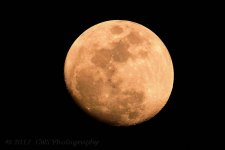 2-8-17-cr_DSC_4695.jpg