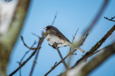 DSC_1192.jpg