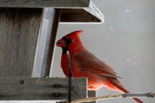 DSC_3187w.jpg