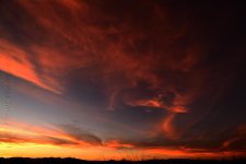 2-9-17-cr_DSC_4740.jpg