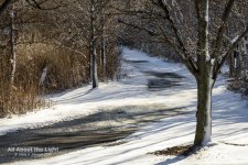 DSC_2608 low res.jpg