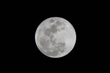 Moon (1 of 1).jpg