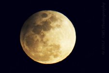 2-10-17-cr_DSC_4767.jpg