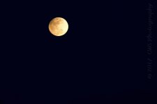 2-10-17-cr_DSC_4769.jpg