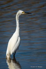 D73_0464-2.jpg