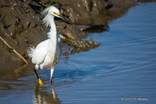 D73_0466-2.jpg