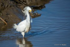 D73_0467-2.jpg