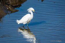 D73_0468-2.jpg