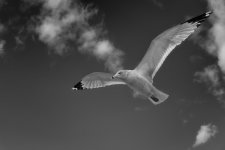 _DSC8261-Edit-Edit.jpg