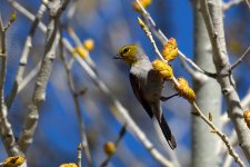 2-11-17-cr_DSC_4774.jpg