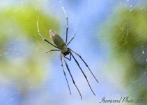 DSC_4270.jpg
