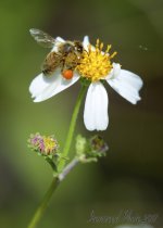 DSC_4319.jpg
