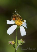 DSC_4320.jpg