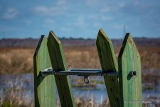 D73_0473-2.jpg