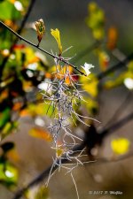 D73_0480-2.jpg