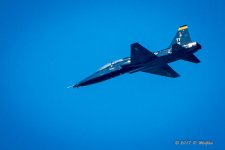 D73_0487-2.jpg