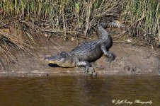 DSC_6925.jpg