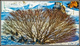 1-DSC_2893-Edit.jpg