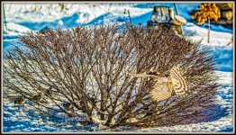 1-DSC_2895-Edit.jpg