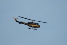 DSC_2616-1.jpg
