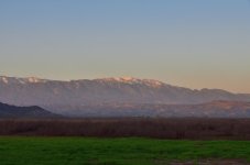 ROY_1553.jpg