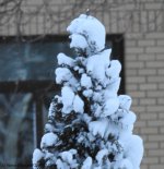 DSCN1630.jpg